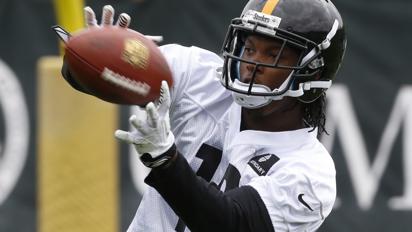 Steelers online bryant jersey